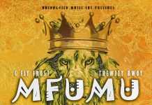 C Fly Frost x Thewzzy Bwoy – Mfumu (Prod By Genius) Mp3 Download
