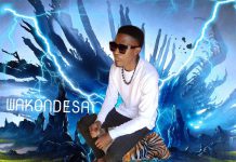 Deejay Self Made Africa – Wakondesa Chalo (Prod By Deejay Self Made Africa) Mp3 Download