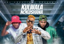 Sarwise x Delarue ft Dope Boys – ”Kulwala Nokushana” (Prod By Puta Tulale) Mp3