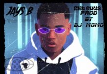 Jays B – Zed Gans (Prod By Dj Momo) Mp3 Download