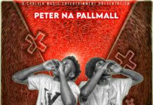 Peter Na Pall Mall – Sense (Prod By Dj Momo) Mp3 Download