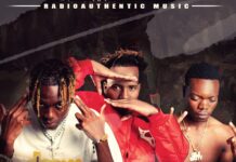 Alpha Na Burna Ft. Y Celeb – Commando (Prod By Icetrx) Mp3 Download