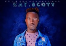 Kay Scott ft Jr Macky 2 x Jay Park – Keep On Shining (Prod By Lil P Beatz & Jarman) Mp3 Download