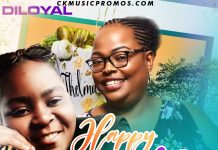 Diloyal – Happy Birthday Cake Boss (Prod By Slyplyss) Mp3 Download