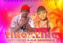 Levypryst Badman G ft Gina – ”Tingaling” Mp3 Download