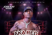 Joss Kay Mavideo – Aka Red Naka Black (Prod By MegaBeat) Mp3 Download