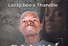 Lazzy Bee ft Thandile – Diary (Prod By Spenky Prince (CP) Mp3 Download
