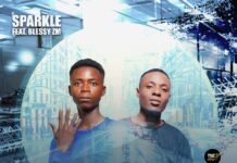 Sparkle ft Blessy Zm – Narrow Road (Prod By Normbreezy) Mp3 Download