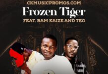 Frozen Tiger ft Bam Kaize & Teo – ”Cypher” Mp3 Download