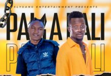 Jozi B ft. Chile One Mr Zambia – Palya Nali (Prod By Siichi Producer) Mp3 Download