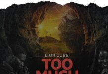 Lion Cubs – ”Too Much Grace” Mp3 Download