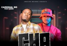 Cardinal BG ft Dizmo – Chalilowa (Prod By Skiller Skipper) Mp3 Download