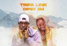 Trifa Link Ft Dipsy Zm – Like You (Prod By Singe) Mp3 Download