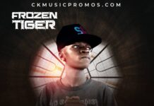Frozen Tiger – “Mood” Mp3 Download