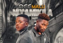 Dee Malu Ft Johnson Favor – “Niyamikila” Mp3 Download