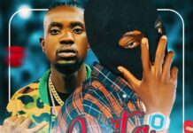 G Fame x Skill Celeb – Anita (Prod By Drizit) Mp3 Download