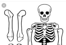 Sishe Xmars – “Muntu Wama Bonzo 4” Mp3 Download