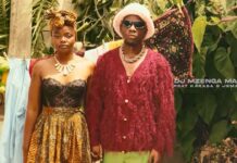 DJ Mzenga Man ft. Jemax & Karasa – Girl from Africa (Official Video + Mp3)