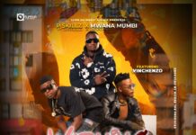 P Skillz x Mwana Mumbi ft. Vinchenzo – Warning (Prod By Ricore) Mp3 Download