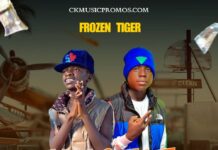 Frozen Tiger ft B Rox – “Hustle” Mp3 Download