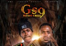 GS9 Red King X Buzze – Ukuba Ine (Prod By Joe Hart) Mp3 Download
