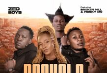 Zed Boys Ft BrokenHill Emmy & Frisky MC – Pa Chalo Kukosa (Prod By Diazy) Mp3 Download