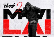 Cheek 2 – “Mwilaiputa” Mp3 Download