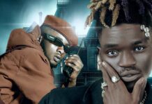 Sky Dollar x Ray Dee – Epotuba (Prod By T Flex) Mp3 Download