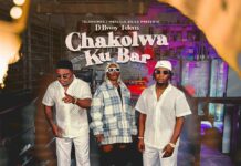 D Bwoy Telem ft. Vinchenzo & Trina South – “Chakolwa Ku Bar” Mp3 Download