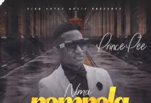 Prince Pee – Nima Pempela (Prod By Mr Openit) Mp3 Download