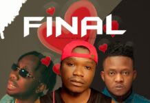 Diggs ft Dizmo & Major Vibes – “Final” Mp3 Download
