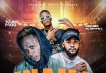Young Pro Ft King Bee & KC Rhythmz – Inama Ikalamba (Prod By Snare Produced It) Mp3 Download