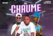 Niza Dre ft Blood Kid & Sky Dollar – Ndi Chaume (Prod By Drop Dizo) Mp3 Download