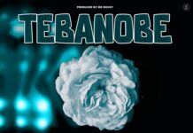 TMS ft Drax Africa x Jade Low Key – Tebanobe (Prod By Mr Rocky) Mp3 Download