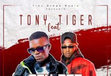 Tony Tiger Ft Ray Dee – Kamanomo (Prod By Vibration) Mp3 Download