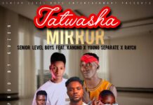 Senior Level Boys Ft Kanono Coolestkidz, Young Separate & Raych – Tatwasha Mirror (Prod By Lunar & Kuzon) Mp3 Download