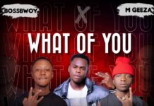 Boss Bwoy X M Geeza Ft Wiz Dee – What Of You (Prod By Jay Swag Zm) Mp3 Download