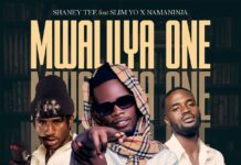 Sheney Tee Ft Slim Yo & Namaninja – Mwalilya One (Prod By Miedo) Mp3 Download