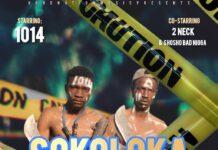 1014 (Hood Nation) Ft 2 Neck & Shosho Bad Nigga – Sokoloka (Prod By Cool Jezzy) Mp3 Download