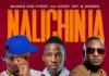 Blood Kid Yvok Ft Chef 187 & Dizmo – “Nalichinja” Mp3 Download