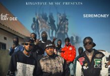 Seremoney ft Ray Dee 408 – Tulemukonkela (Prod By Vinly) Mp3 Download