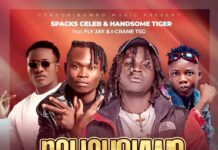 Spacks Celeb & Handsome Tiger Ft Fly Jay & I Crane TSG – Nalishokwa (Prod By Rich Pro) Mp3 Download