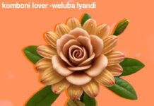 Trupa Nationa & Nicpee – Weluba Lyandi (Prod By Jay Swag Zm) Mp3 Download