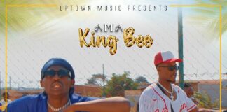King Bee ft Chali Cool – Tepapa (Prod By Dj Momo) Mp3 Download