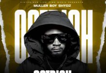 Muller Boy Shydz – Ostrich (Prod By Mr B) Mp3 Download