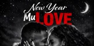 Shenky – “New Year Mu Love” Mp3 Download