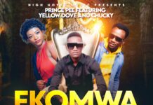 Prince Pee Ft Yellow Dove & Chucky – Ekomwamfumya (Prod By Mr Openit) Mp3 Download