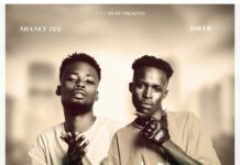 Jorker x Shaney Tee – Zetedi (Prod By Dj Kopala) Mp3 Download