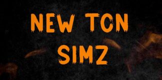 Newton Simz – “Tachepa” Mp3 Download