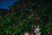 Macky 2 – “Fyafula” Mp3 Download